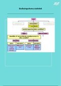 Beslissingsschema statistiek OSB1