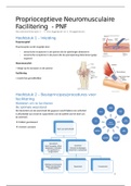 Neurokinesitherapie 3