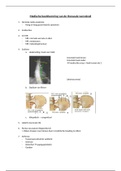 Medische beeldvorming TWZ & CWZ