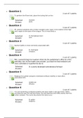 NURS 6512N Midterm Exam.docx