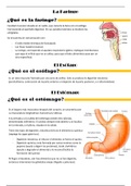 Apuntes de Biology and Geology. Unidad 4.