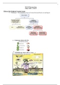 NR-293 Pharmacology Study Guide – Exam 3