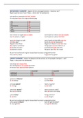 Belangrijkste grammatica in schema Spaans Minor VU