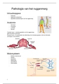 Samenvatting: Pathologie van het ruggenmerg