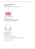 Samenvatting Radiodiagnostiek jaar 1 KT2 (OP1.2)