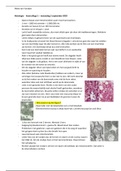 Hoorcollege aantekeningen Histologie 