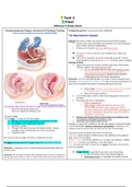 NURSING 306 OB Exam 2 Study Guide- West Coast University