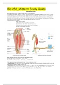 BIO 252 MIDTERM EXAM AND REVIEW (BUNDLE) LATEST VERSION