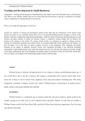 Training and Development in Small Businesses  Assignment 1: Training and Development in Small Businesses Due Week 4 and worth 240 points Select a small business with which you are familiar. Imagine that you have been called into that business to provide a