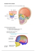 Anatomie propedeuse Mondzorgkunde periode 1