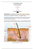 Homeostasis notes for Biology