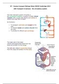 Transport system in Human Biology notes