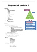 College aantekeningen Diagnostiek periode 2 
