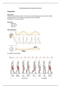 Samenvatting  Fysiotherapeutisch Handelen periode 2 