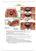 NURSING 247 Module_2___Lecture_2_Notes complete study guide 