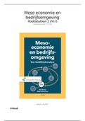 Samenvatting Meso economie en bedrijfsomgeving, ISBN: 9789001900045  Marktscan