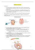 Probleem 2 (Connections) samenvatting 