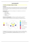 Volledige Samenvatting Neurologie voor het vak N&O aan de VU