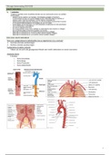 Samenvatting SUMMA Chirurgie jaar 2 19-20