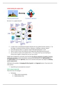 Samenvatting Supply Chain Management 