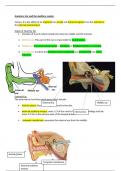 Medical sciences notes