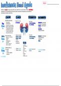Apuntes Rápidos Insuficiencia Renal Aguda 