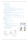 Samenvatting Celbiologie Immunologie Experimenteren (CIE)