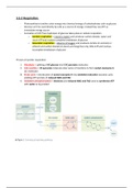 3.5.2 AQA A level Biology Respiration Notes