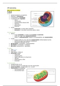 MBO | AFP 1.2 | Anatomie en fysiologie | Inleiding medische kennis | Medische kennis | Geneesmiddelenkennis | Poliklinieken, JGZ en arbodienst 