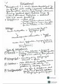  Pharmacy Notes