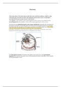 Best MRCS part A anatomy 