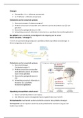 Samenvatting Leerpakket 3