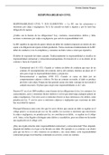 Responsabilidad civil