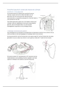 Samenvatting  Kinesitherapeutisch Onderzoek Bovenste Lidmaat