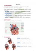 Body systems 