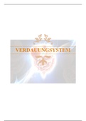 Verdauungssystem