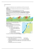 Samenvatting Wonen in Nederland