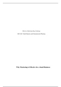 Effective Marketing Blog Challenge.docx    Effective Marketing Blog Challenge   MGT/465: Small Business and Entrepreneurial Planning  Why Marketing is Effective for a Small Business  There are many different ways that any and all companies can market thei