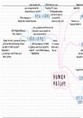 A Level Politics Conservatism on human nature, society, economy and state notes