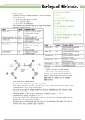 OCR  A-Level Biology 2.1.2 and 2.1.3 Biological Molecules, Nucleotides and Nucleic Acids