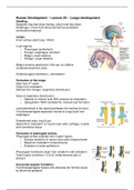 Lecture 20 -- Human Development  