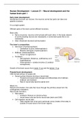 Lecture 21 -- Human Development 