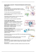 Lecture 22 -- Human Development 