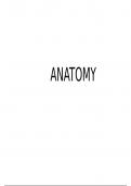 Need help in first year anatomy? 