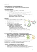 Complete samenvatting Cell biology 1 op basis van alle theorielessen gebaseerd op het boek Molecular Biology of the Cell (H3, 11, 12, 13, 15, 16, 17 en 20)