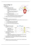 Samenvatting college 13 GKA