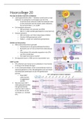 Samenvatting hoorcollege 20 GKA