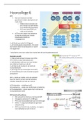 Samenvatting hoorcollege 6 GKA