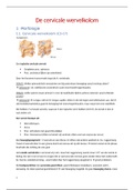 Samenvatting MSK3 cervicale wervelkolom