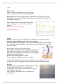 Fysiotherapie BOS (Body of Skills Diagnostiek) Levensfasen (Blok C/D) jaar 1